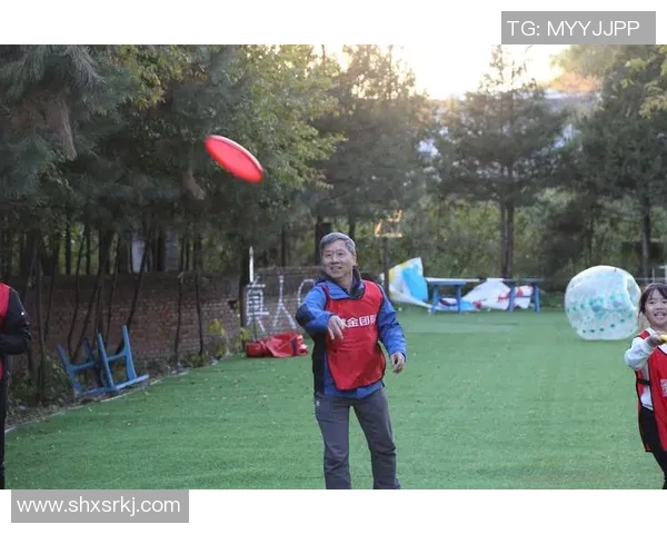 飞盘技术实力榜单权威发布揭示顶尖选手与团队实力对比分析