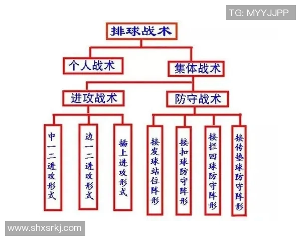 广州排球队在奥运会上的意识表现与战术分析探讨