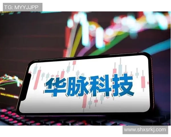 南京网球队实力深度解析与对比分析全面揭示各队优势与潜力