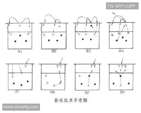 杭州排球队战术解析：构建高效控制体系的策略与实践